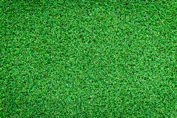 Fototapeta premium Green grass background