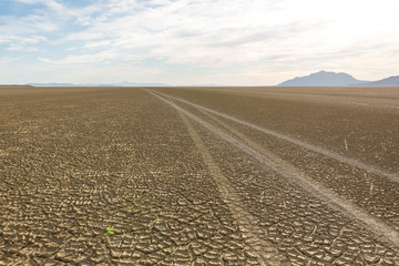 Naklejka premium Tire tracks running across the black rock desert playa