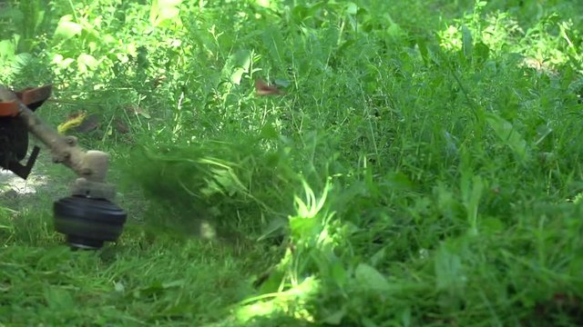 Close up. trimming grass with mower. slow motion. Lawn mowing.