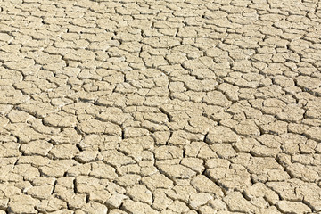 Cracked playa mud texture from the desert