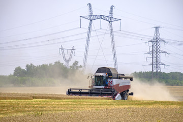 Harvester in dust clubs at work on the harvest of wheat on a huge field in the summer. Thus, the birth of bread occurs.