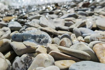 transparent sea inhabitant of the Black sea, jellyfish, thrown on the rocky shore of the sea