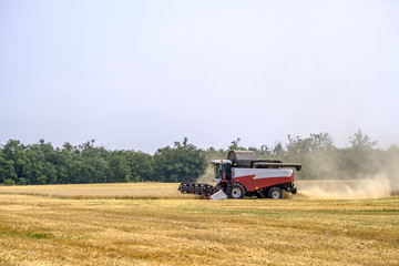 Harvester in dust clubs at work on the harvest of wheat on a huge field in the summer. Thus, the birth of bread occurs.