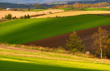 beautiful farm on the hill