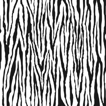 Zebra seamless pattern. Animal print