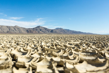 Cracked playa mud texture leading out to the mountains on the Black Rock desert