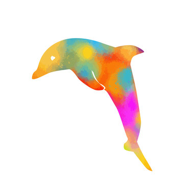 Colorful dolphin. rainbow dolphin silhouette. Vector illustration