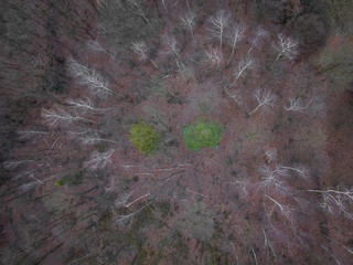 The Central Bohemian Region is an administrative unit of the Czech Republic, located in the central part of its historical region of Bohemia. Its administrative centre is in the Czech capital Prague.