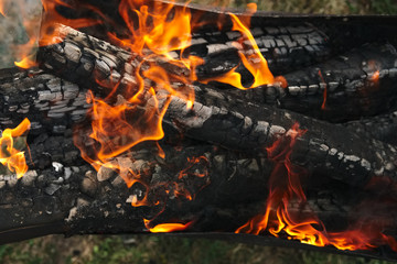 Fototapeta premium Burning firewood in the fire outdoor