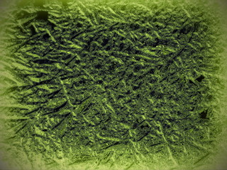 green grass background