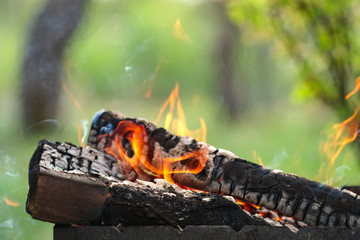 Burning firewood in the fire outdoor