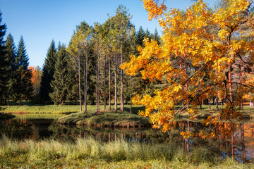 Golden Autumn in Catherine Park, Tsarskoye Selo. The city of Pushkin, Leningrad region.
