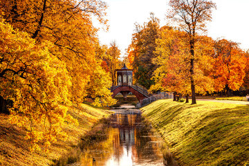 Golden autumn in Alexander Park near Tsarskoye Selo. The city of Pushkin, Leningrad region. View of...