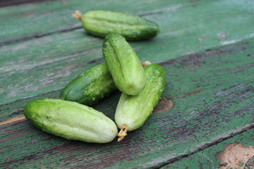 Organic green cucumbers on the background of boards