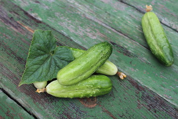 Organic green cucumbers on the background of boards