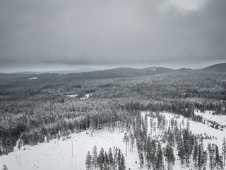 Fototapeta premium The Sumava National Park or Bohemian Forest National Park is a national park in the South Bohemian regions of the Czech Republic along the border with Germany and Austria. NP is protcted by UNESCO.