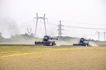 Agricultural combines in dust clubs harvest wheat on a huge field in the summer. Thus, the birth of bread occurs.