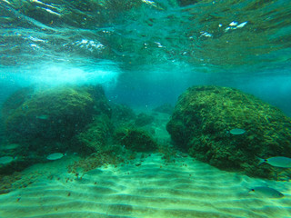 underwater background and free space for your decoration. 