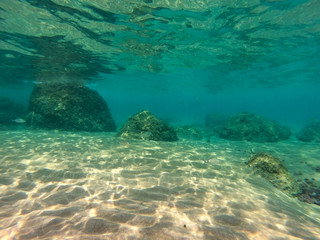 underwater background and free space for your decoration. 