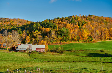 Obraz premium Jenne Farm with barn at sunny autumn day in Vermont, USA