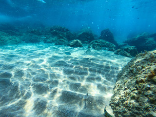 underwater background and free space for your decoration. 