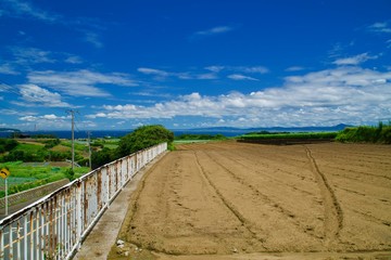 Fototapeta premium 三浦半島の南端に広がる畑