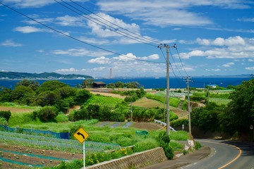三浦半島の南端に広がる畑