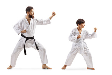 Boy and man in kimonos practicing karate © Ljupco Smokovski