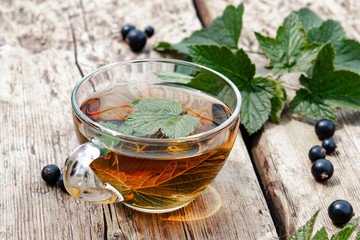 Currant leaf herbal tea in a glass transparent cup on a wooden table near the leaves and berries of green currant.