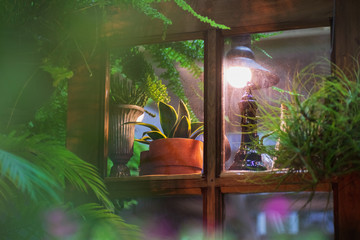 Small plant pots displayed in the vintage window with vintage retro style home garden decoration at night.