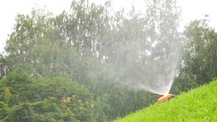  Grass lawn. Watering with sprinkling machine 