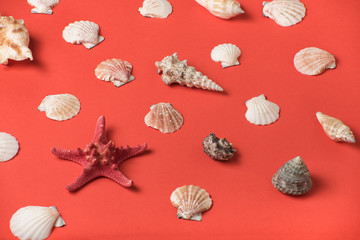 Variety of seashells on the background of living coral. Flat lay. Marine concept