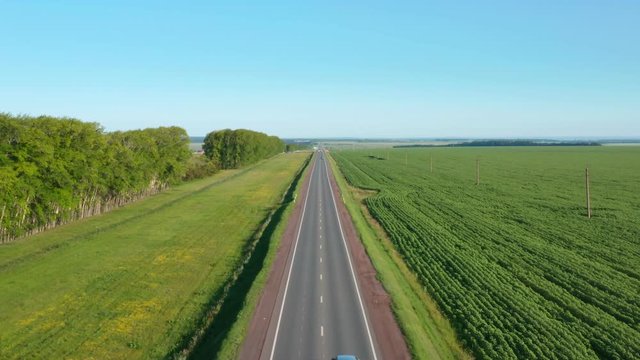 Road between fields and forest belt.Cars driving on the road and overtaking.Asphalt road in Russia.Aerial pull away shot.