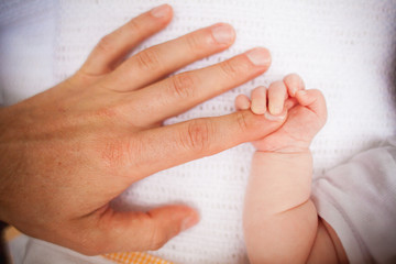 basket, baby, child, human, being, nature, juniper, day, tree, Portugal, life, begining, father, parents, finger, palm