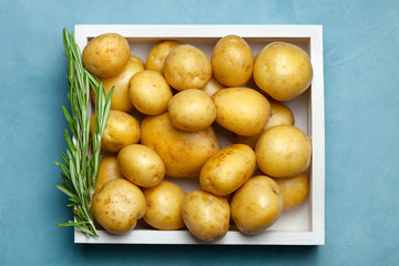 Raw potato tubers with rosemary on blue background
