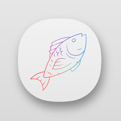 Fish app icon. Cafe, restaurant menu. Fish species. Underwater sea animal. Carp, trout, tuna dish. Healthy nutrition. UI/UX user interface. Web or mobile applications. Vector isolated illustrations