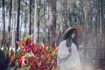 Fototapeta na wymiar Travel young asian woman wearing a hat in the forest. The concept of tourism in holidays, The natural background of green trees.