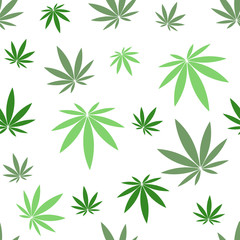 Fototapeta premium Seamless pattern with green hemp on white background.