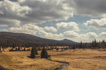 Fototapeta na wymiar Landscape with grassy valley, trees and stream, cloudy sky - The Bohemian Forest (Sumava). View from Breznik to Lusen valley.