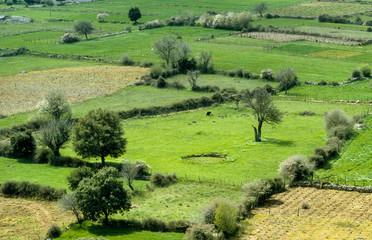 Moulin, Plateau de Lassithi, Crète , Grèce