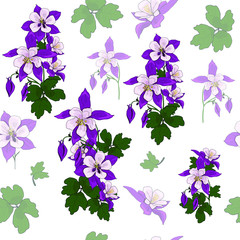 Flowers from the garden. Seamless pattern of pink and violet aquilegia on a white background. Printing with in hand drawn style.