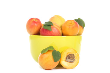 Sweet apricots in bowl isolated on white background