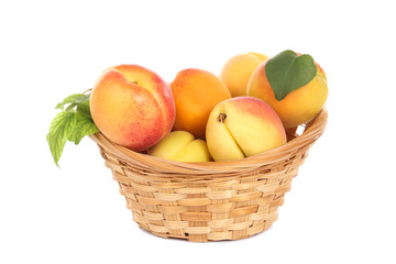 Sweet apricots in basket isolated on white background