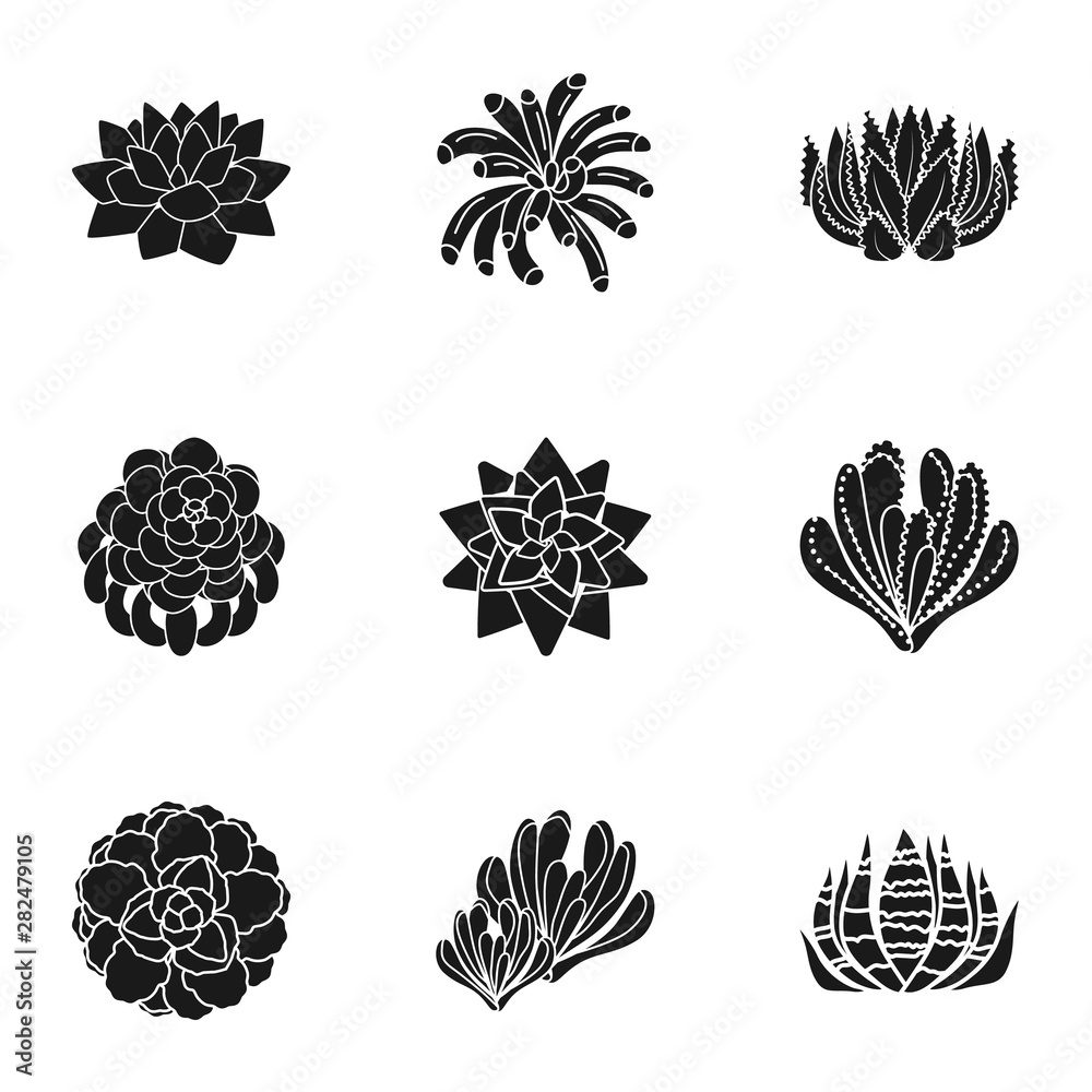 Poster succulent botany icon set. simple set of 9 succulent botany vector icons for web design isolated on 