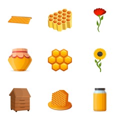 Pollen honey icon set. Cartoon set of 9 pollen honey vector icons for web design isolated on white background