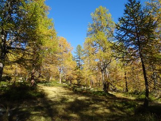 The mountains and the Nature of the Natural Park 