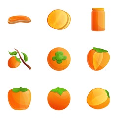 Orange persimmon icon set. Cartoon set of 9 orange persimmon vector icons for web design isolated on white background