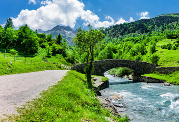 Fototapeta na wymiar Brücke über den Gave de Gavarnie, Französische Pyrenäen