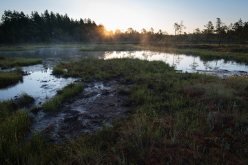 Obraz na płótnie Canvas Morning sun over misty pond