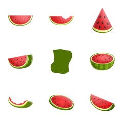 Berry watermelon icon set. Cartoon set of 9 berry watermelon vector icons for web design isolated on white background